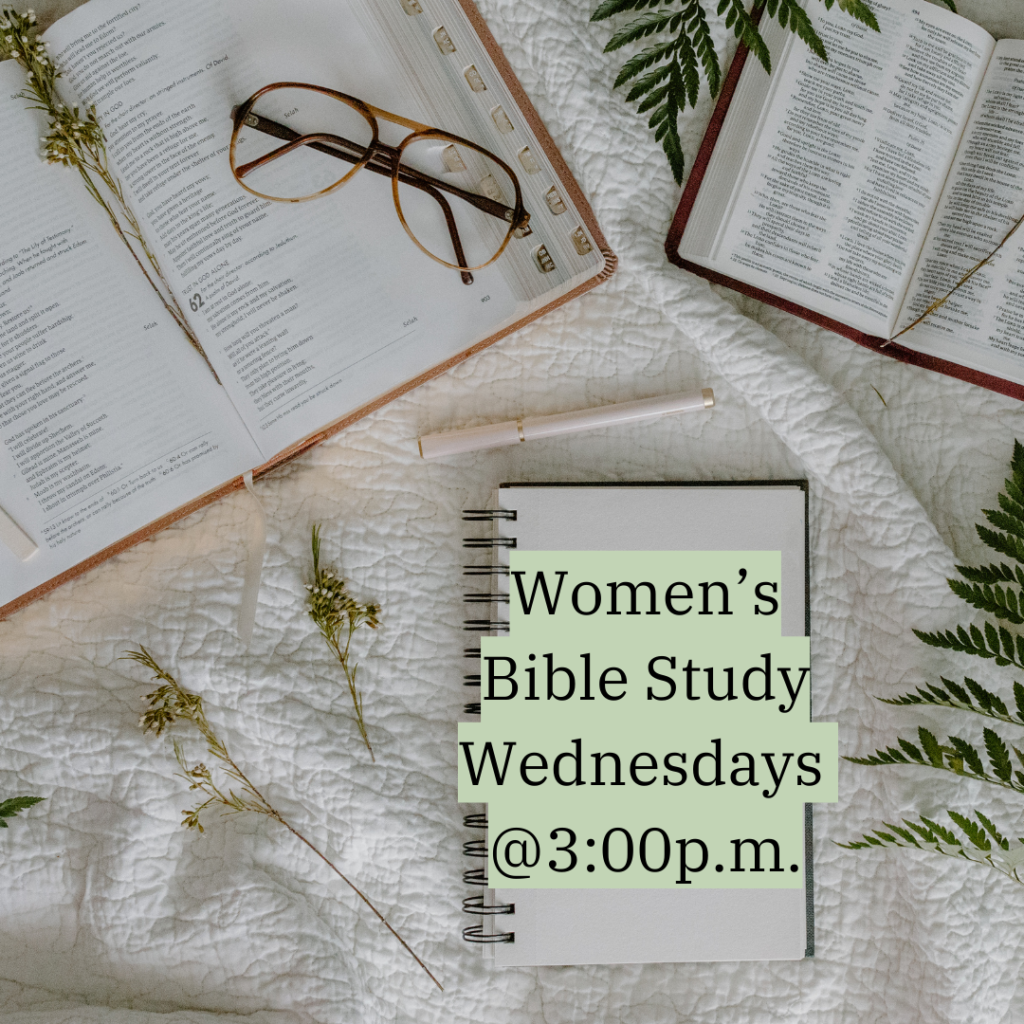 Salem Lutheran Church Deerwood MN Churches near me; Lutheran Church